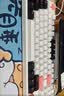 雷神（ThundeRobot）KG3089破晓 有线游戏机械键盘 家用电竞89键全键无冲键线分离 PBT双色键帽无畏契约cs2 红轴 实拍图