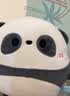 澳贝（auby）婴幼儿玩具熊猫团团安抚玩偶可入口水巾哄睡+牙胶啃咬A类面料 实拍图