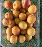 新疆吊干杏约400g 实拍图
