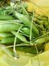 中鲜生 云南新鲜豌豆 甜豌豆新鲜蔬菜现摘豆角 净重3斤装【尝鲜装】鲜嫩饱满 实拍图