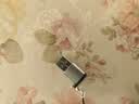 山泽USB3.2转换Type-C转接头OTG适用苹果18/17/16安卓手机数据转换头线接U盘耳机键鼠车载充电连接器 实拍图