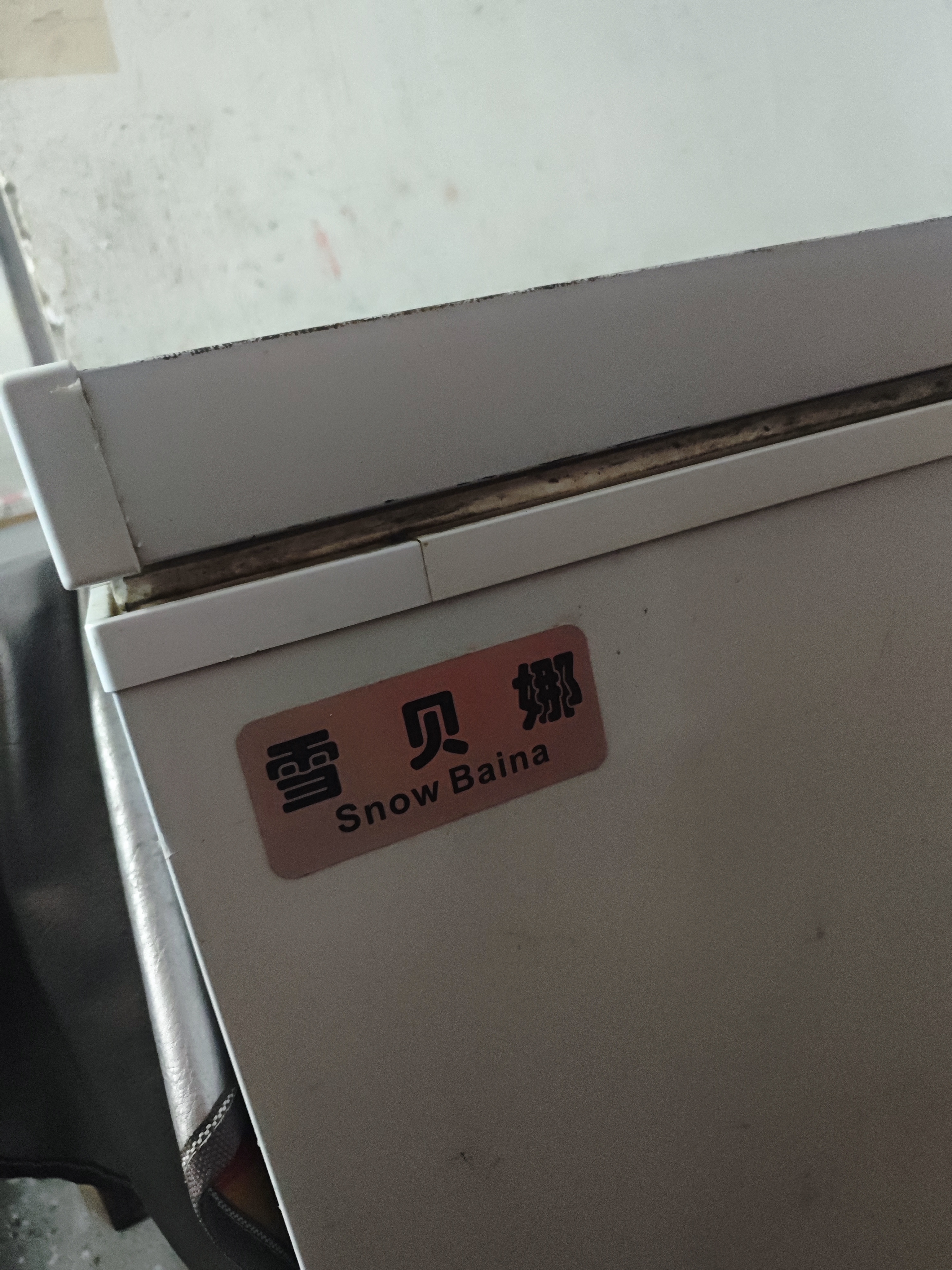 雪贝娜冰柜商用大容量全冷冻家用双温卧式冷柜展示柜 798单温智能温控【一级能效】 实拍图