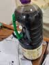 李锦记薄盐系列 薄盐生抽1.52kg*2【减盐25%* 一级】控盐味鲜酱油 实拍图