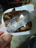 胶城阿胶糕500g*2【阿胶16%】阿胶膏补品气血女送长辈妈妈中秋节礼盒 实拍图