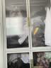 家惠优选钢制衣柜家用出租房储物柜新款儿童宝宝衣物收纳柜等分单门42宽 实拍图