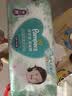 帮宝适（Pampers）清新帮拉拉裤M中码50片超薄干爽泡泡男女宝宝通用 实拍图