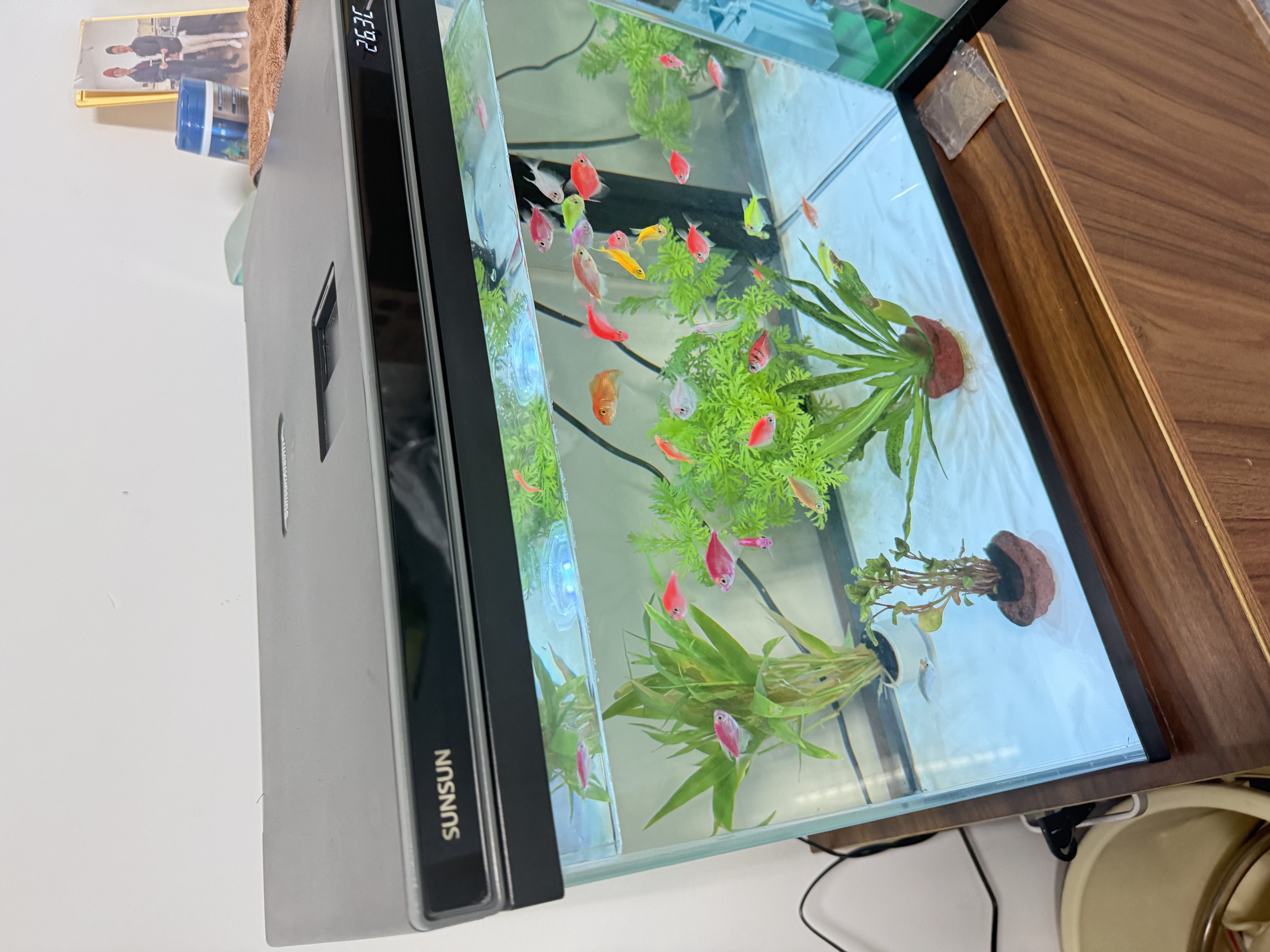 森森超白玻璃鱼缸一体缸自循环免安装XHE-480(黑) 实拍图