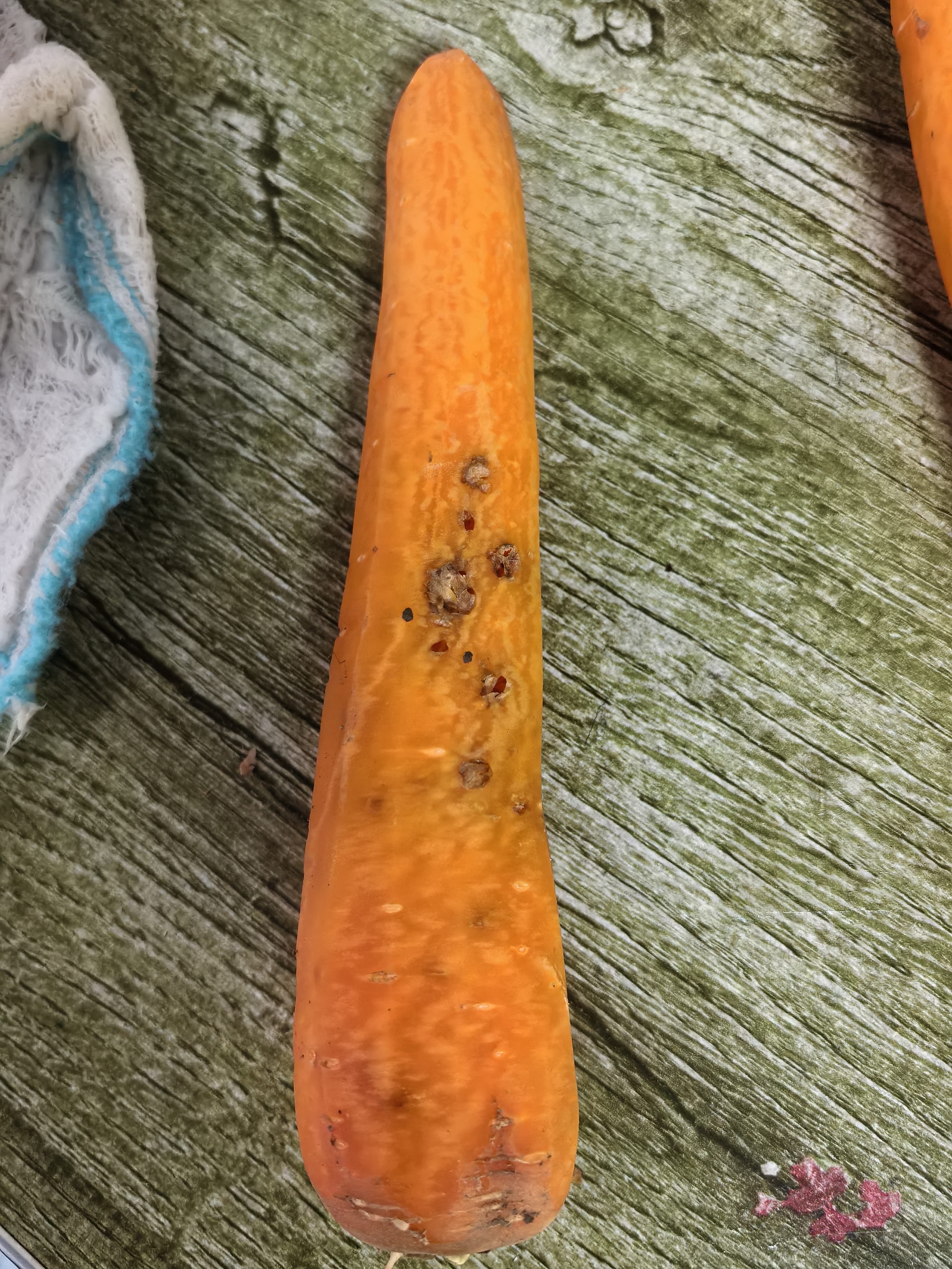 京鲜生山东带泥胡萝卜 净重4.5斤 单果100g+蔬菜辅食 源头直发 自营包邮 实拍图