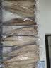 鲜京采挪威青花鱼片净重700g（7-10片）独立包装深海鱼烤鱼片烧烤 实拍图