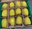 佳沛（zespri）新西兰金奇异果12粒特大果124-146g猕猴桃中秋节礼品送水果礼盒 实拍图