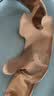 京东京造颈椎按摩器P7pro橙 斜方肌肩颈按摩器颈椎按摩仪肩颈腰部按摩仪肩部全身按摩生日礼物送送长辈父亲 实拍图