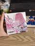 觅声天鹤座2【王浩宇Whys推荐】入耳式HiFi有线电竞耳机专业听声辨位fps游戏专用三角洲无畏契约带麦 3.5mm带麦-入会赠迷你声卡 实拍图