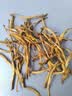富昌黄花菜230g 山西特产 山珍南北干货 金针菜干 煲汤配菜 忘忧草 实拍图
