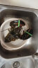 渔传播【活鲜】加拿大波士顿龙虾波龙鲜活1kg/只 活虾海鲜源头直发 实拍图