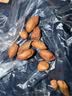 享食兔瘪花生1000g甘甜生花生山东特产干瘪花生米仁2026小花生米新货 实拍图