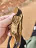 福多（Fudo）马来西亚进口 提拉米苏蛋糕432g(独立包装24枚) 零反式脂肪 实拍图