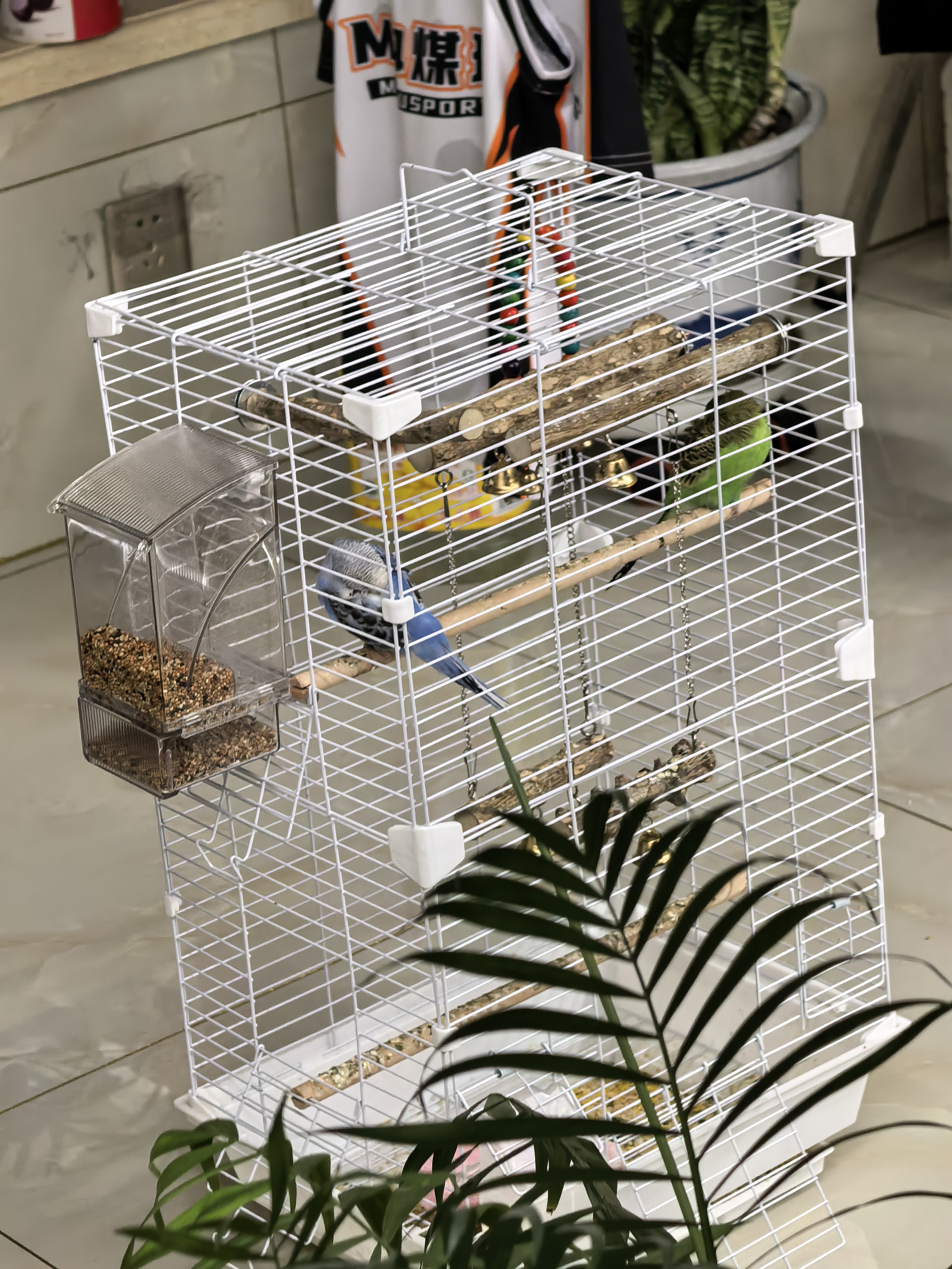 飞主流鹦鹉专用鸟笼别墅大号家用鸟笼大全鸟窝站架鸟食盒虎皮鹦鹉用品 实拍图