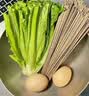 云山半0脂肪荞麦龙须面条500g低钠黑荞麦面 速食100%细挂面汤面早餐拉面 实拍图