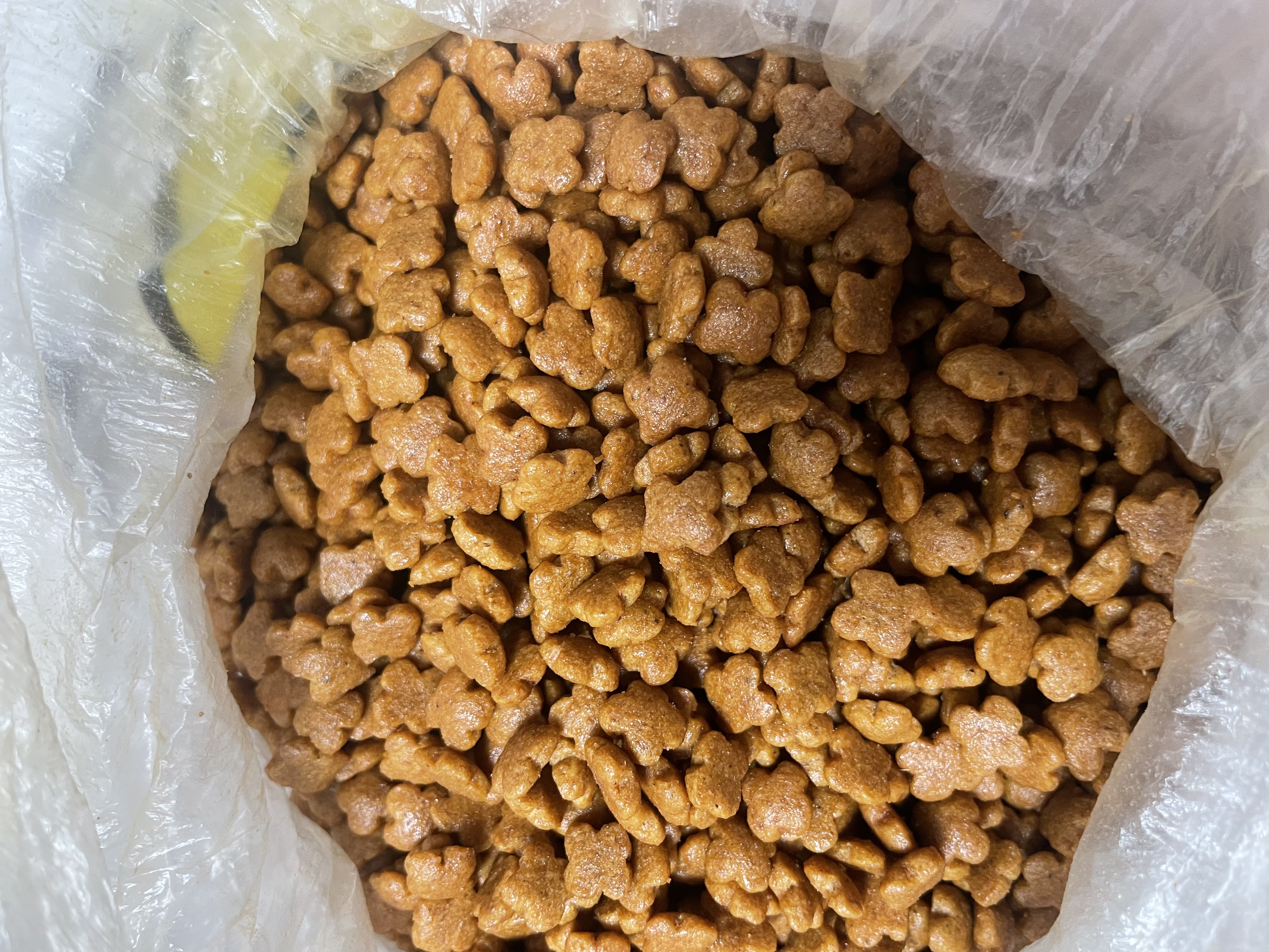 皇家猫粮 幼猫猫粮 幼猫奶糕 K36 通用粮 4-12月 2KG 实拍图