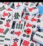 紫湖 麻将牌42mm麻将牌手搓一级品144张家用高档含手提包骰子麻将 实拍图