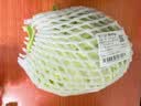 卷心菜约800g 实拍图