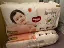好奇（Huggies）铂金装小桃裤成长裤XL96片(12-17kg)加大号尿不湿【夏季散热王】 实拍图