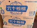 养元六个核桃 精品型核桃乳植物蛋白饮料240ml*24 整箱装 中秋送礼 实拍图