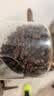吉意欧GEO醇品经典美式咖啡豆500g阿拉比卡豆中深烘美式醇香黑咖啡  实拍图