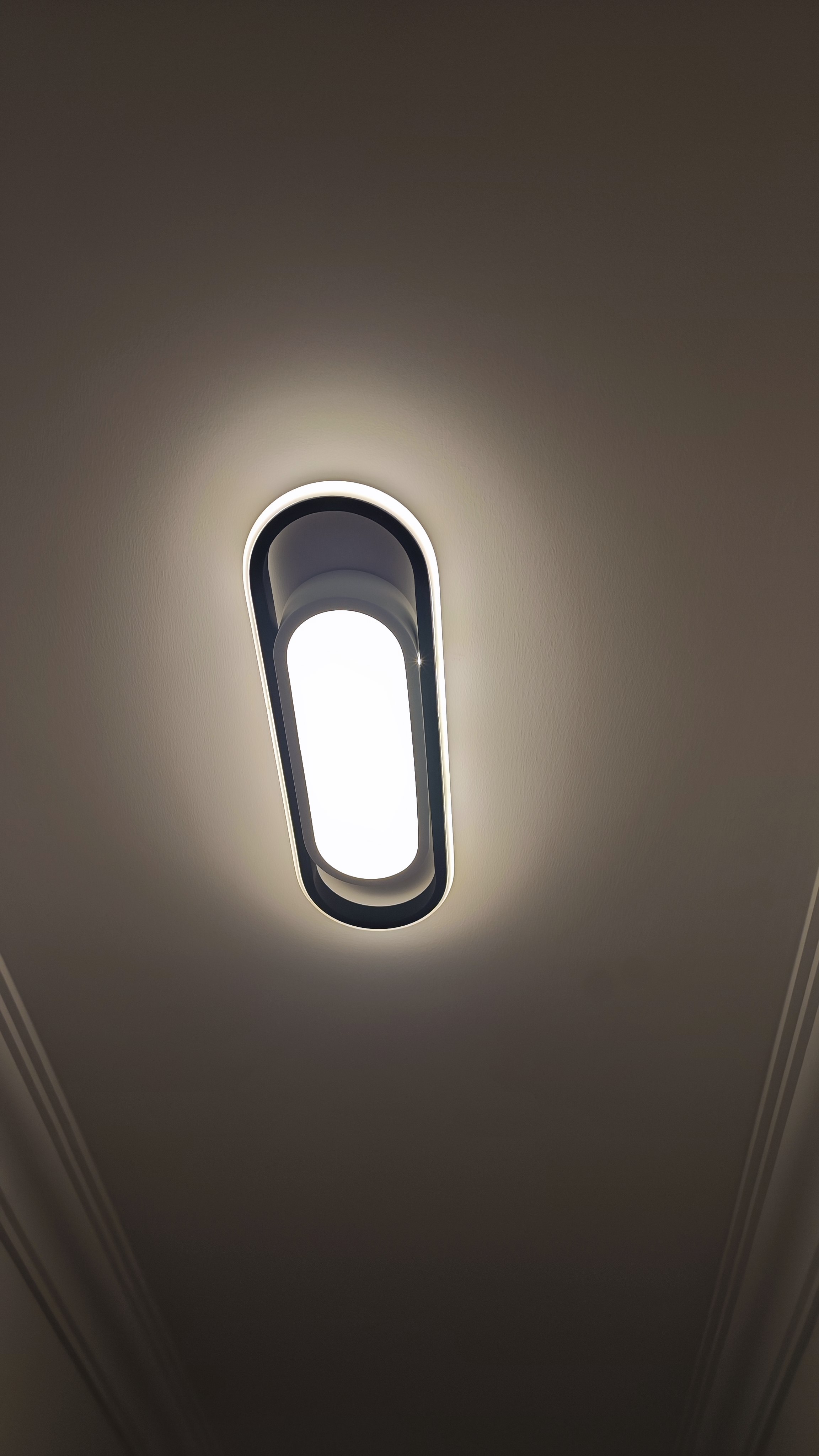 京东安装 简易吸顶灯上门安装服务 客厅卧室顶灯（直径或边长小于40cm）灯具吸顶灯安装（2盏及以上可购） 实拍图