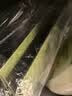 NVVins轻奢礼品袋 节日送礼礼物袋子包装袋高级感生日婚礼伴手礼糖果收纳袋手提袋 复古绿5个装18*10*6cm 实拍图