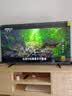 Vidda 海信电视55英寸 R55 144Hz高刷 智慧屏 一级能效 2026液晶家用游戏平板以旧换新电视机55V1KD-R 实拍图