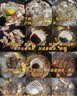 牧功夫内蒙古原切带肉羊棒骨净4斤 草原羔羊羊肉煲汤炖煮烧烤食材 实拍图