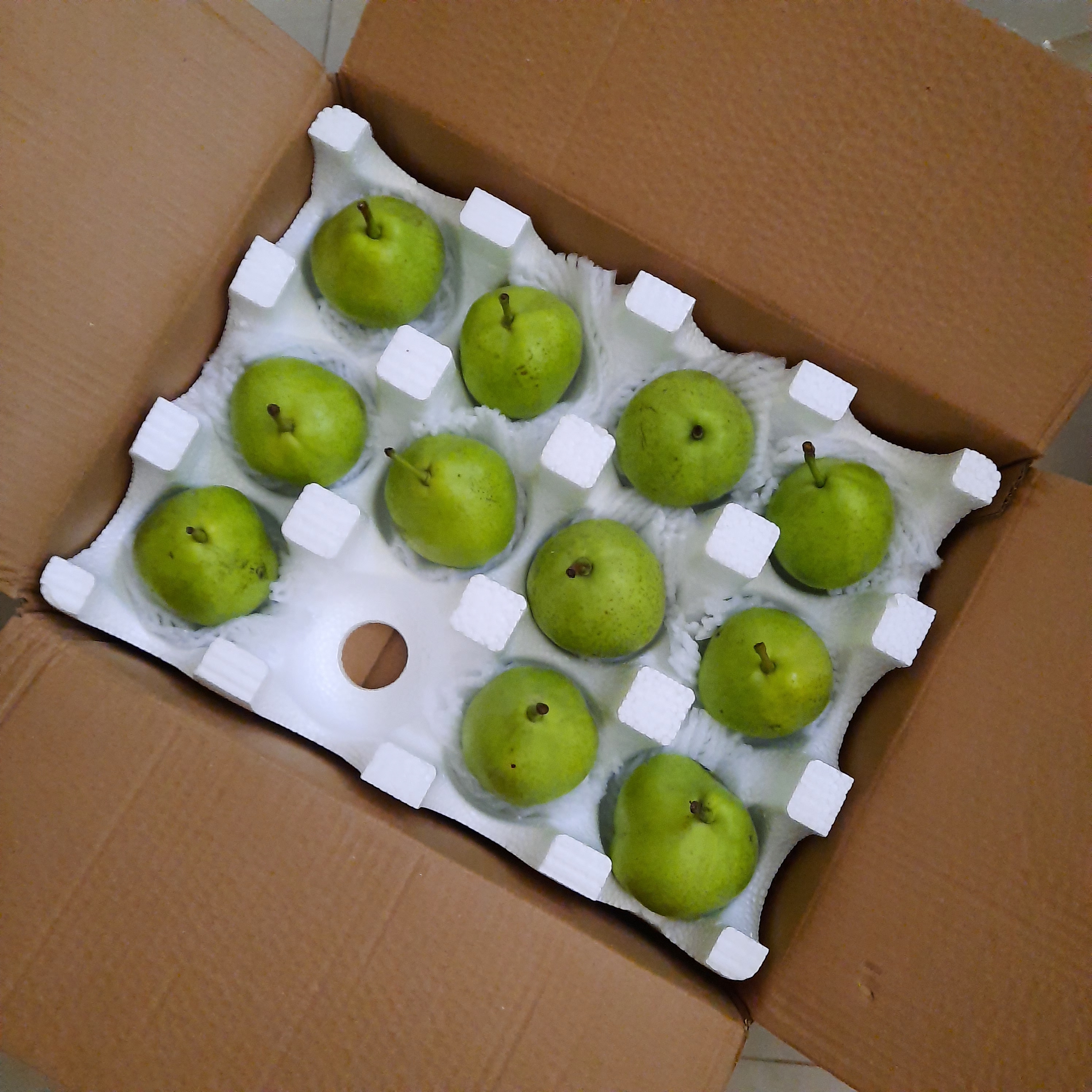 京觅陕西蒲城冰糖早酥梨子新鲜水果净重4.5斤单果170g+源头直发包邮 实拍图
