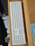 戴尔（DELL）KB216键盘有线商务办公键盘笔记本电脑台式机外接配件全尺寸静音键盘USB即插即用防泼溅（白色） 实拍图