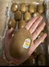 佳沛（zespri）新西兰金奇异果22粒巨大原箱146-175g猕猴桃中秋节礼品送水果礼盒 实拍图