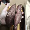 佳农宝菜福建榴莲蜜薯玛莎莉红薯净重4.5斤单果约100g+源头直发 实拍图