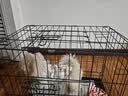腆宠狗笼狗窝猫笼狗笼子中小型犬带厕所猫笼子大号家用室内狗围栏兔笼 实拍图
