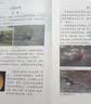 阳光同学 2026秋新版 博物课堂二年级上册 小学年级阅读语文人教版同步教材课内外拓展阅读必读 百科知识文化常识 开学季 实拍图