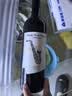 CANIS FAMILIARIS布多格原瓶进口红酒 西拉干红葡萄酒 750ml 单瓶装 实拍图