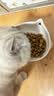 皇家英短成猫粮 BS34 通用粮 12月以上 4.5KG 实拍图