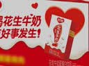 银鹭【任嘉伦推荐】花生牛奶250ml*24 整箱礼盒早餐礼盒 实拍图
