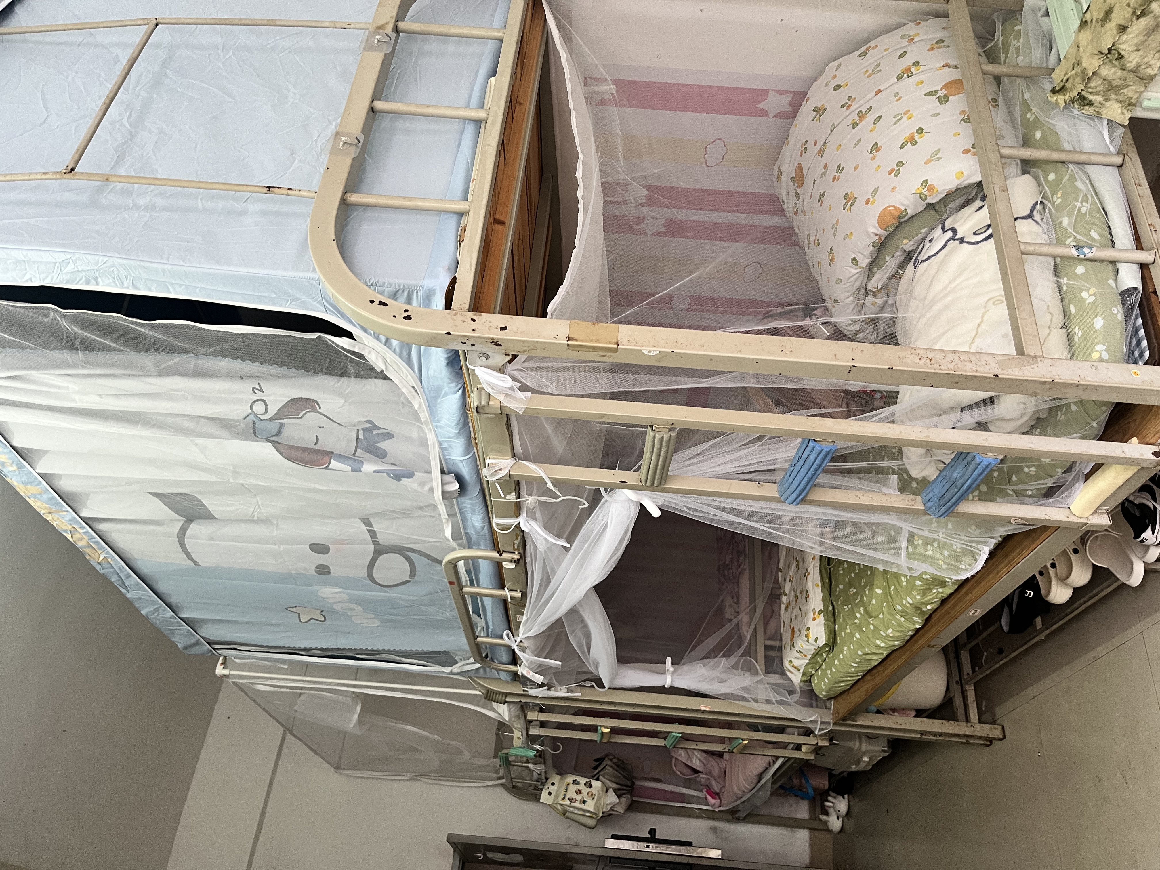 南极人大学生宿舍床帘蚊帐一体式学生宿舍免安装一体式床帘0.9x1.9米 coll狗【四面遮光+保护隐私】 0.9m床【上铺加高】宽90*长190*高110【一体成型支架】 实拍图