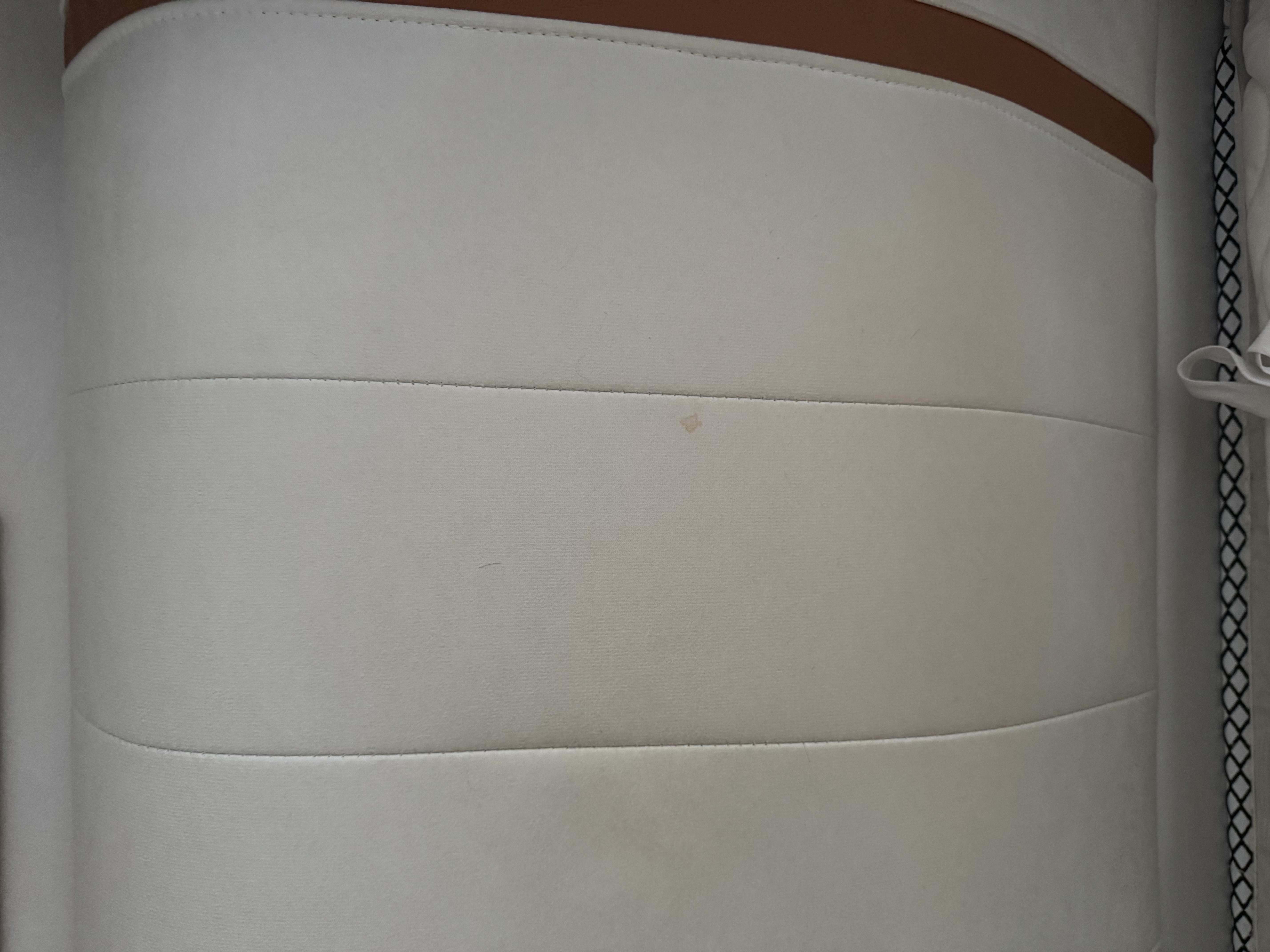 老管家布艺清洁剂500g*2免水洗毛毯窗帘布艺沙发墙布清洗剂干洗剂 实拍图