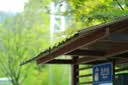 适马（SIGMA）【限时12期免息】56mm F1.4 DC DN｜Contemporary 半画幅大光圈定焦镜头 人像特写（佳能RF卡口） 实拍图