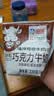海河巧克力牛奶220ml*10袋整箱牛角包儿童学生早餐奶新鲜乳品饮料 实拍图