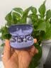 SANAG塞那S8S Ultra 蓝牙耳机 AI翻译耳夹耳机 开放式蓝牙无线耳机 适用于苹果安卓手机 星辉紫 实拍图