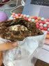 枣叔的店【89任选8枚】手作欧包面包零食短保无防腐代餐速食早餐零食糕点 雷神巧克力【210g】 实拍图
