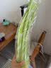 翡翠褶大白菜1.2kg 实拍图
