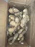 京鲜生 云南小黄姜 净重5斤 新姜生姜 新鲜现挖 单果50g+ 源头直发包邮 实拍图