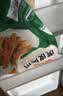 冻品先生 安井 虎皮凤爪 1kg 卤味凤爪 冷冻半成品 预制凉菜速食 实拍图